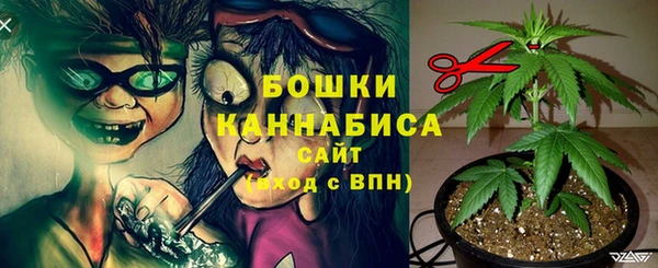 спайс Абаза