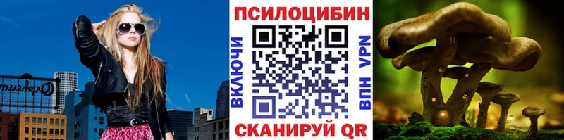 Галлюциногенные грибы Psilocybine cubensis  Краснозаводск 